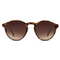Devon / Metal Tortoise Rose Gold